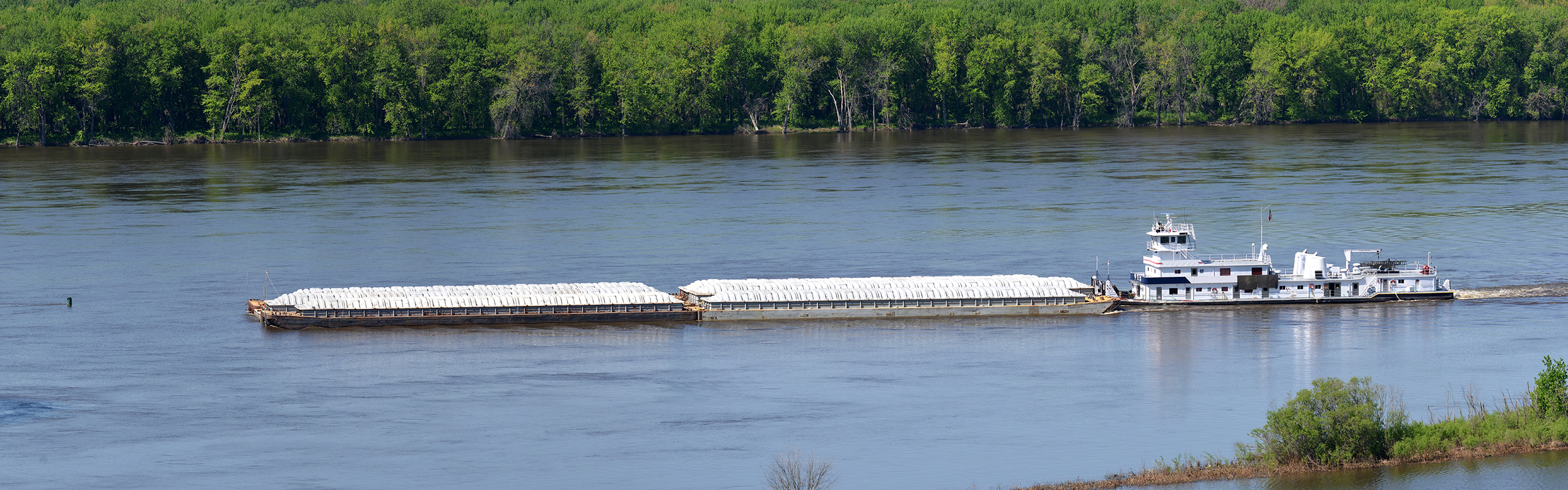 Starkville Sigma Chi Alumni Chapter website header