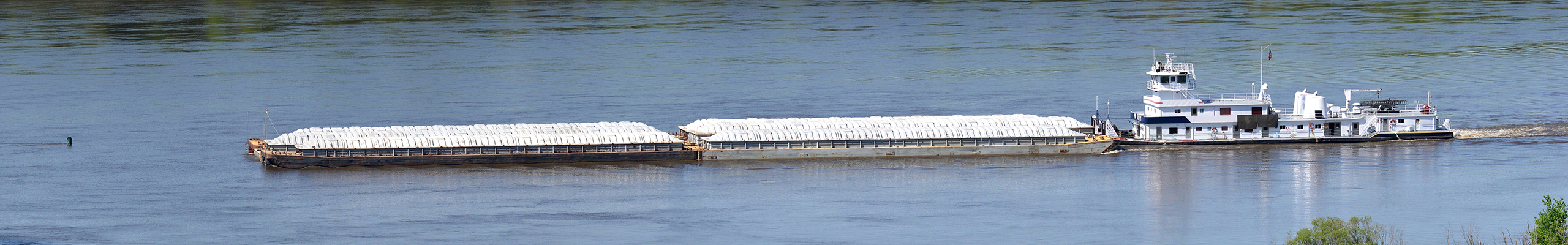 Starkville Alumni Chapter website default header